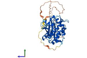 Protein Structure (PS) image for Tribbles Homolog 3 (Drosophila) (TRIB3) (AA 1-354) protein (His tag) (ABIN7564675)