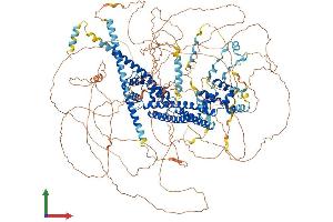 AlphaFold protein structure predicition of Human Recombinant FMN1 Protein, UniprotID Q68DA7