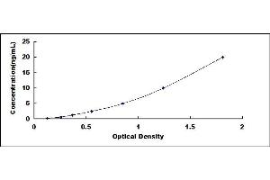 Typical standard curve (ATP6AP2 ELISA 试剂盒)