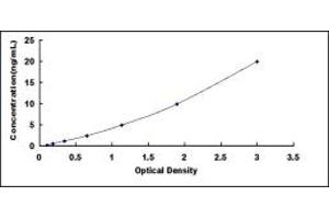 Typical standard curve (Ecotin ELISA 试剂盒)