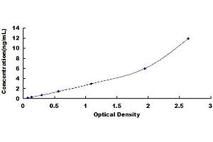 Typical Standard Curve