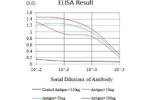 Black line: Control Antigen (100 ng),Purple line: Antigen (10 ng), Blue line: Antigen (50 ng), Red line:Antigen (100 ng) (BTN1A1 抗体  (AA 27-242))