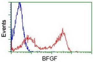 Image no. 2 for anti-Fibroblast Growth Factor 2 (Basic) (FGF2) (AA 10-155) antibody (ABIN1490784) (FGF2 抗体  (AA 10-155))