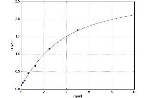 A typical standard curve (FERMT3 ELISA 试剂盒)