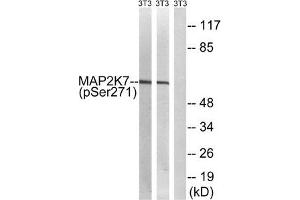 Western blot analysis of extracts from 3T3 cells treated with insulin using MAP2K7 (Phospho-Ser271) Antibody. (MAP2K7 抗体  (pSer271))