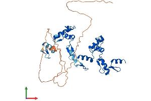 Protein Structure (PS) image for Zinc Finger Protein 121 (ZNF121) (AA 1-390) protein (His tag) (ABIN7545531)
