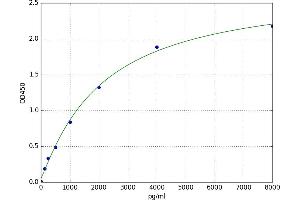 Tachykinin Receptor 1 (TACR1) ELISA Kit