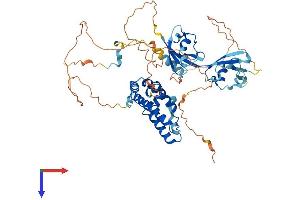 RGS14 Protein (AA 1-547) (His tag)