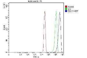 Flow Cytometry analysis of SiHa cells using anti-CD147/Emmprin antibody (ABIN7599999).
