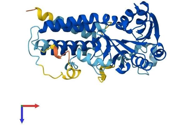 EIF2B2 Protein (AA 1-351) (His tag)