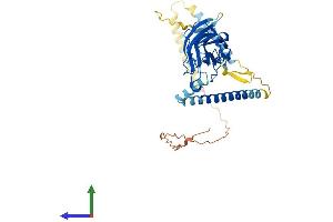 Protein Structure (PS) image for Sad1 and UNC84 Domain Containing 5 (SUN5) (AA 1-379) protein (His tag) (ABIN7544066)