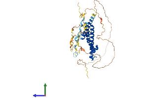 Protein Structure (PS) image for Suppressor of Ty 7 Like (SUPT7L) (AA 1-414) protein (His tag) (ABIN7546367)