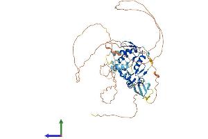 AlphaFold protein structure predicition of Human Recombinant ZNF280A Protein, UniprotID P59817 (ZNF280A Protein (AA 1-542) (His tag))