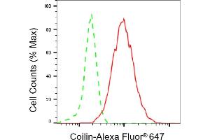 Flow cytometric analysis of Coilin expression in HepG2 cells using Coilin antibody (ABIN7798119), 1:2,000). (Recombinant Coilin 抗体)
