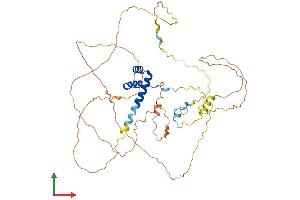 Protein Structure (PS) image for H2.0-Like Homeobox (HLX) (AA 1-488) protein (His tag) (ABIN7548364)