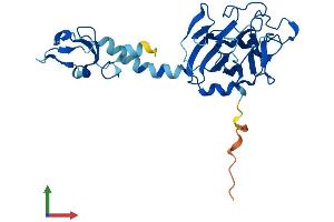 AlphaFold protein structure predicition of Human Recombinant RFPL4AL1 Protein, UniprotID F8VTS6 (RFPL4AL1 Protein (AA 1-287) (His tag))