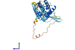 AlphaFold protein structure predicition of Mouse Recombinant Parvg Protein, UniprotID Q9ERD8