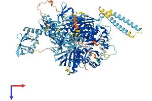 Phospholipase C gamma 2 Protein (PLCG2) (AA 1-1265) (His tag)