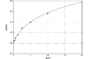 A typical standard curve