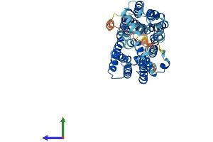 Protein Structure (PS) image for Solute Carrier Family 17 (Anion/Sugar Transporter), Member 4 (SLC17A4) (AA 1-492) protein (His tag) (ABIN7557482)
