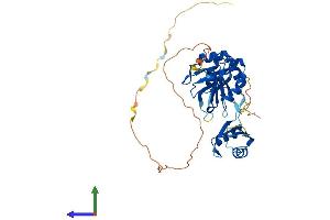 AlphaFold protein structure predicition of Human Recombinant TIAL1 Protein, UniprotID Q01085