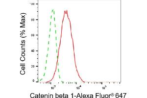 Flow cytometric analysis of Catenin beta 1 expression in C2C12 cells using Catenin beta 1 antibody (ABIN7797931), 1:2,000). (CTNNB1 抗体)