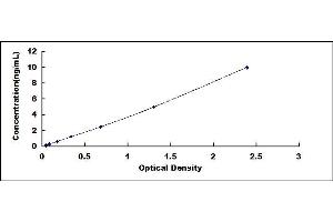 Typical standard curve (GCLM ELISA 试剂盒)