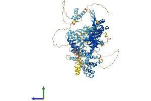 Protein Structure (PS) image for Ubiquitin Specific Peptidase 28 (USP28) (AA 1-1077) protein (His tag) (ABIN7555949)