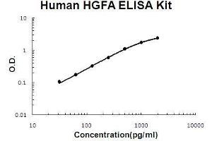 Human HGFA PicoKine ELISA Kit standard curve (HGFA ELISA 试剂盒)