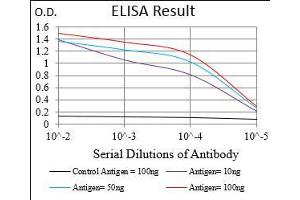 Black line: Control Antigen (100 ng), Purple line: Antigen(10 ng), Blue line: Antigen (50 ng), Red line: Antigen (100 ng), (CD36 抗体  (AA 30-130))