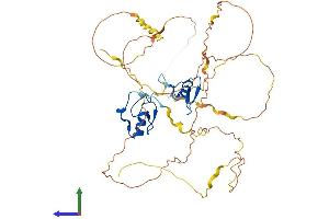 AlphaFold protein structure predicition of Mouse Recombinant Gata3 Protein, UniprotID P23772