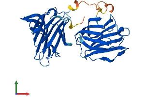 Protein Structure (PS) image for Lectin, Galactoside-Binding, Soluble, 8 (LGALS8) (AA 1-317) protein (His tag) (ABIN7549010)