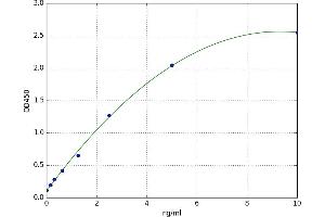 Thioredoxin Reductase 1 (TXNRD1) ELISA Kit
