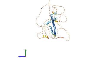 Protein Structure (PS) image for cAMP Responsive Element Binding Protein 3-Like 3 (CREB3L3) (AA 1-461) protein (His tag) (ABIN7553588)