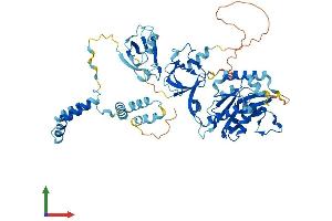 Protein Structure (PS) image for Membrane Protein, Palmitoylated 7 (MAGUK p55 Subfamily Member 7) (MPP7) (AA 1-576) protein (His tag) (ABIN7558920)
