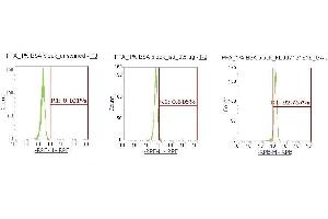 Flow Cytometry (FACS) image for anti-Glycyl-tRNA Synthetase (GARS) (AA 43-289) antibody (PE) (ABIN5565503) (GARS 抗体  (AA 43-289) (PE))