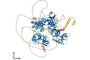 Protein Structure (PS) image for Tudor Domain Containing 1 (TDRD1) (AA 1-1180) protein (His tag) (ABIN7555706)