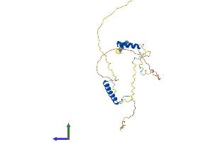 Protein Structure (PS) image for PAXIP1 Associated Glutamate-Rich Protein 1 (PAGR1) (AA 1-254) protein (His tag) (ABIN7554843)