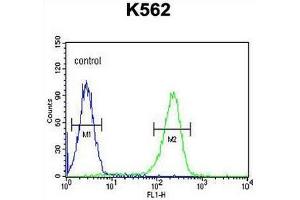 CXCR3 Antibody (Center) flow cytometric analysis of K562 cells (right histogram) compared to a negative control cell (left histogram). (CXCR3 抗体  (Middle Region))