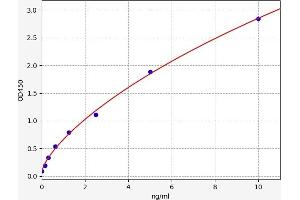 Typical standard curve (Neuroglobin ELISA 试剂盒)