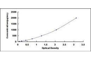 Glypican 4 (GPC4) ELISA Kit