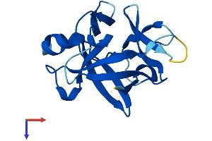 IL1F10 Protein (AA 1-152) (His tag)
