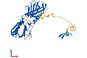 Protein Structure (PS) image for Bardet-Biedl Syndrome 5 (BBS5) (AA 1-341) protein (His tag) (ABIN7564964)