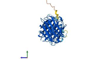 Protein Structure (PS) image for Lectin, Galactoside-Binding, Soluble, 12 (LGALS12) (AA 1-314) protein (His tag) (ABIN7559986)