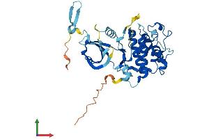 Protein Structure (PS) image for Cyclin-Dependent Kinase 10 (CDK10) (AA 1-360) protein (His tag) (ABIN7553301)