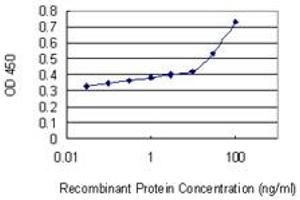 Detection limit for recombinant GST tagged NFAM1 is 10 ng/ml as a capture antibody. (NFAM1 抗体  (AA 187-269))
