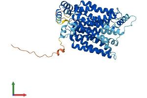 Protein Structure (PS) image for Solute Carrier Family 2 (Facilitated Glucose Transporter), Member 4 (SLC2A4) (AA 1-509) protein (His tag) (ABIN7562868)