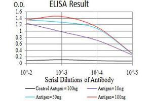 Black line: Control Antigen (100 ng),Purple line: Antigen (10 ng), Blue line: Antigen (50 ng), Red line:Antigen (100 ng) (RAD21 抗体  (AA 287-403))