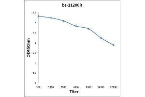 Antigen: 2 µg/100 µL  Primary: Antiserum, 1:500, 1:1000, 1:2000, 1:4000, 1:8000, 1:16000, 1:32000;  Secondary: HRP conjugated Rabbit Anti-Goat IgG at 1: 5000;  TMB staining Read the data in Microplate Reader by 450nm. (SOX4 抗体  (AA 54-103))