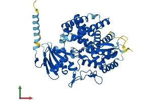 Protein Structure (PS) image for Cytochrome P450, Family 8, Subfamily B, Polypeptide 1 (CYP8B1) (AA 1-501) protein (His tag) (ABIN7546738)